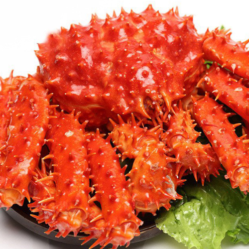 帝王蟹2.8-3.2斤 海鮮大螃蟹凍鮮水產(chǎn)